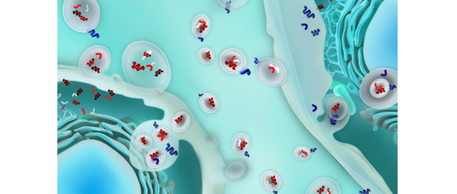 哪吒闹海！外泌体面纱大揭秘，我命由我不由天！