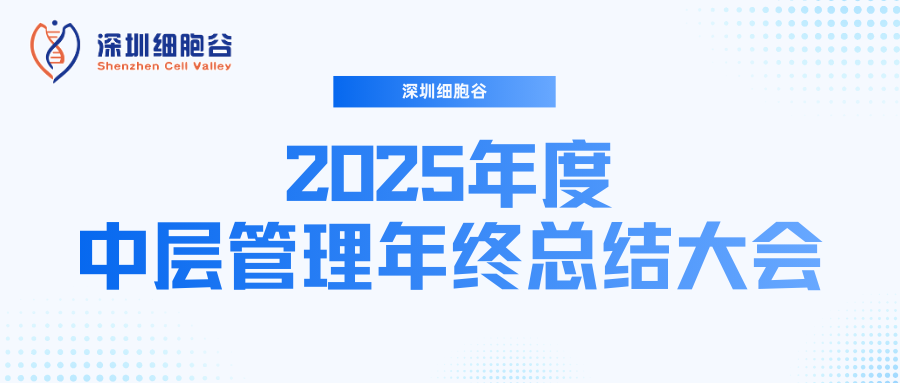 深圳evo真人视讯召开2025年度中层管理年终总结大会：多点布局成果丰硕，创新驱动快速开展