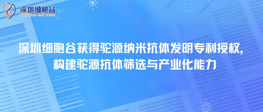 深圳evo真人视讯取得驼源纳米抗体发明专利授权，构建驼源抗体筛选与产业化能力