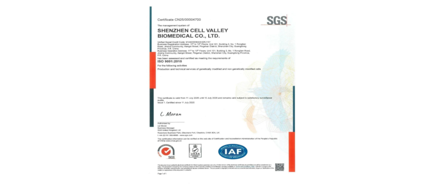 Good News | Shenzhen Cell Valley Achieves ISO 9001:2015 Quality Management System Certification