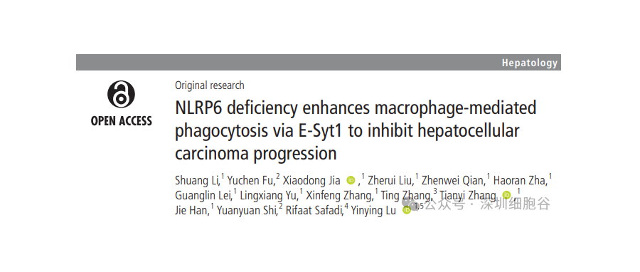 Major Breakthrough | Peking University 302 Clinical Medical School & Shenzhen Cell Valley Publish Landmark Hepatocellular Carcinoma Study in Gut