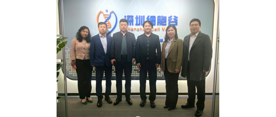 研讨合作｜河南科技大学第二附属医院院长邢建武、副院长王慧睿一行莅临深圳evo真人视讯研讨访问