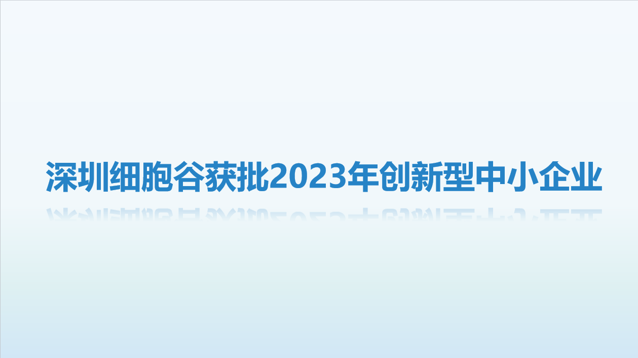 【喜讯】 深圳evo真人视讯获批2023年创新型中小企业