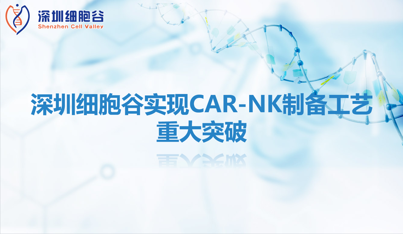 研究进展|深圳evo真人视讯实现CAR-NK制备工艺重大突破