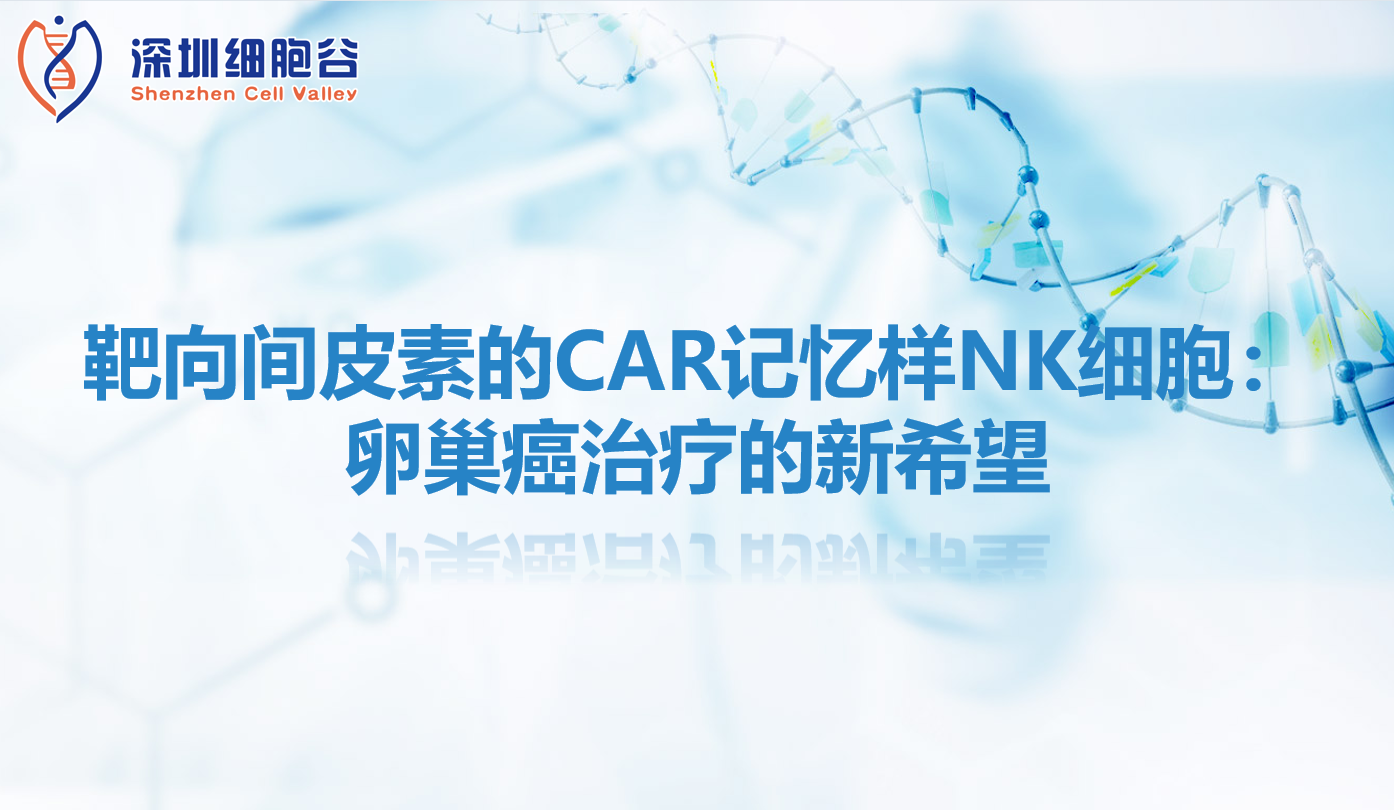 科研赋能|靶向间皮素的CAR记忆样NK细胞：卵巢癌治疗的新希望