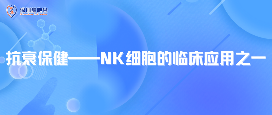 科研赋能|抗衰保健--NK细胞的临床应用之一