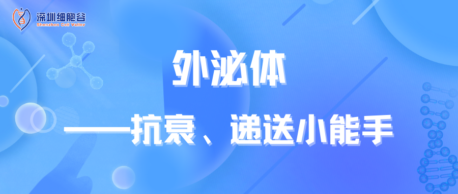 知识科普|外泌体——抗衰、递送小能手