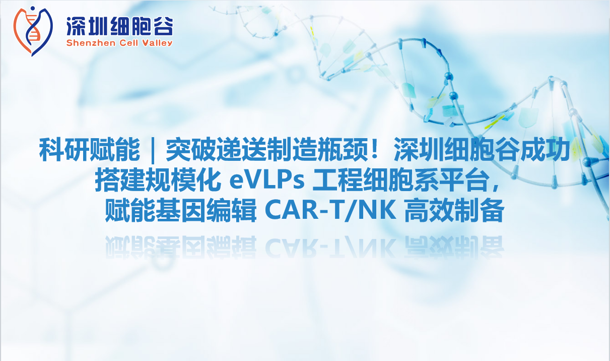 科研赋能｜突破递送制造瓶颈！深圳evo真人视讯成功搭建规模化 eVLPs 工程细胞系平台，赋能基因编辑 CAR-T/NK 高效制备